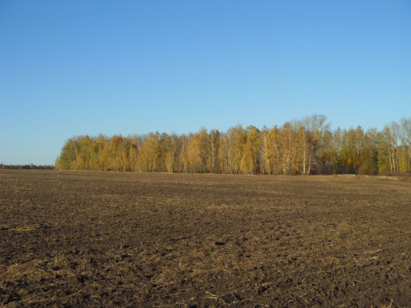 Услуга рекомендаций для фермеров